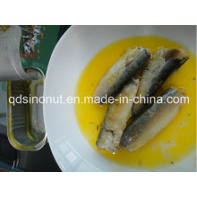 Canned Sardine in 100% Oil